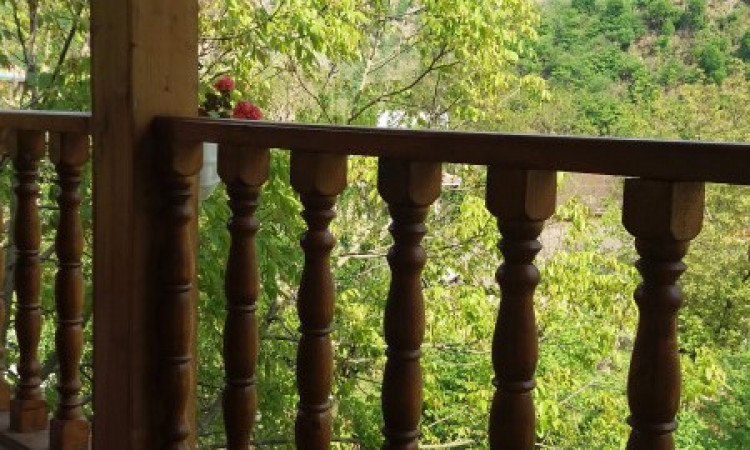 اجاره ویلا چوبی و جنگلی دوبلکس(1)