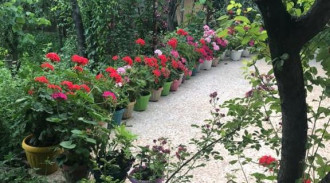 جناح باغ الخالدي للإيجار