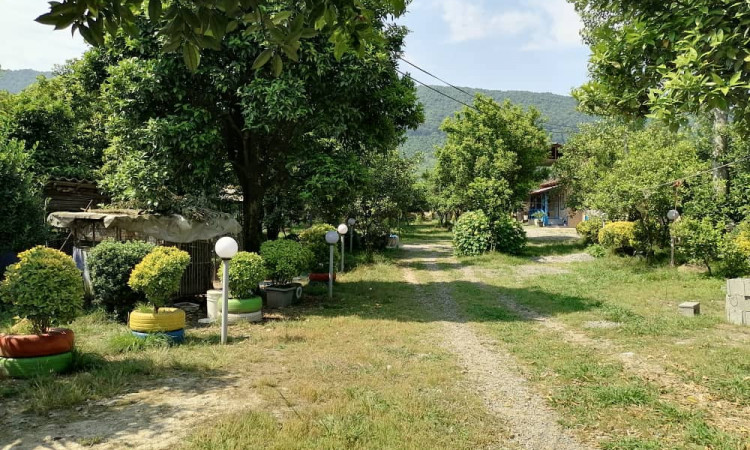 رزرو بوم گردی مشتی حسن(اتاق طلعت 3)