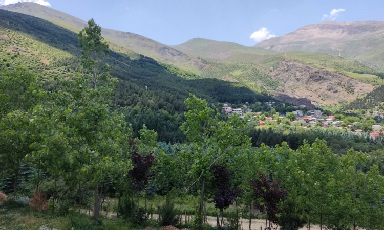 اجاره آپارتمان تراس دار جنگلی آزالیا