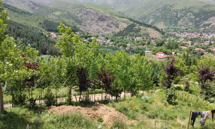 اجاره آپارتمان تراس دار جنگلی آزالیا