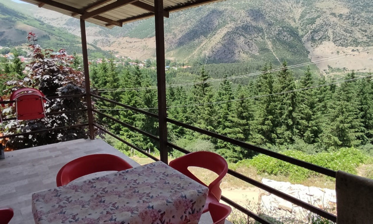 اجاره آپارتمان با ویو جنگل رز