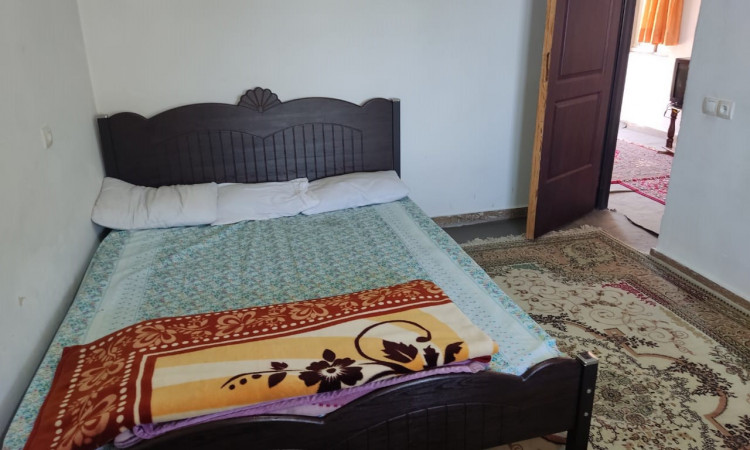 اجاره آپارتمان با ویو جنگل رز
