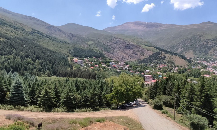 اجاره آپارتمان جنگلی شقایق