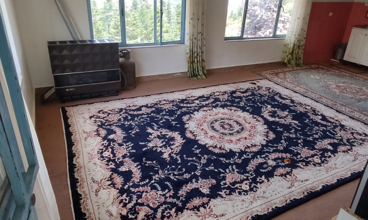 اجاره آپارتمان جنگلی شقایق