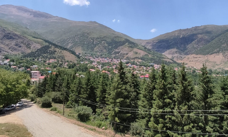 اجاره آپارتمان جنگلی شقایق