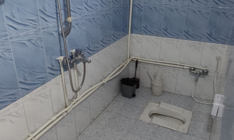 اجاره آپارتمان جنگلی نرگس