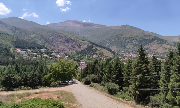 اجاره آپارتمان جنگلی نرگس