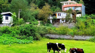 ویلا جنگلی سی بِن شیرگاه سه خواب