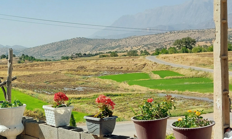 اجاره ویلایی دوخوابه دارای تمام امکانات