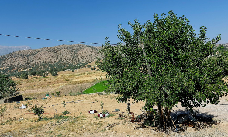 اجاره ویلایی دوخوابه دارای تمام امکانات