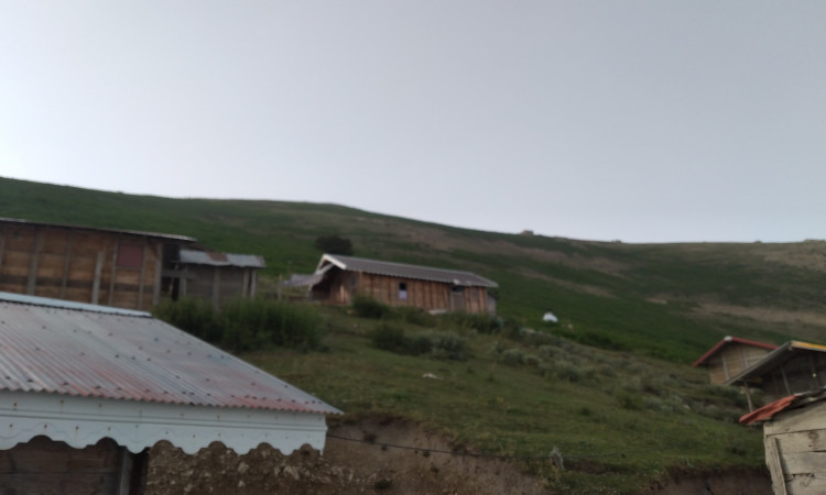 کلبه چوبی جنگلی ییلاقی2