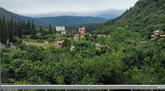 اجاره ویلای جنگلی عباس آباد بهشهر