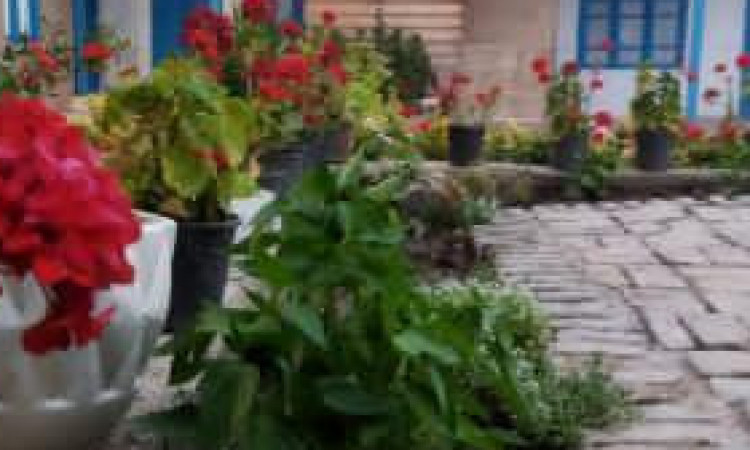 بومگردی خانی اتاق بهارخواب