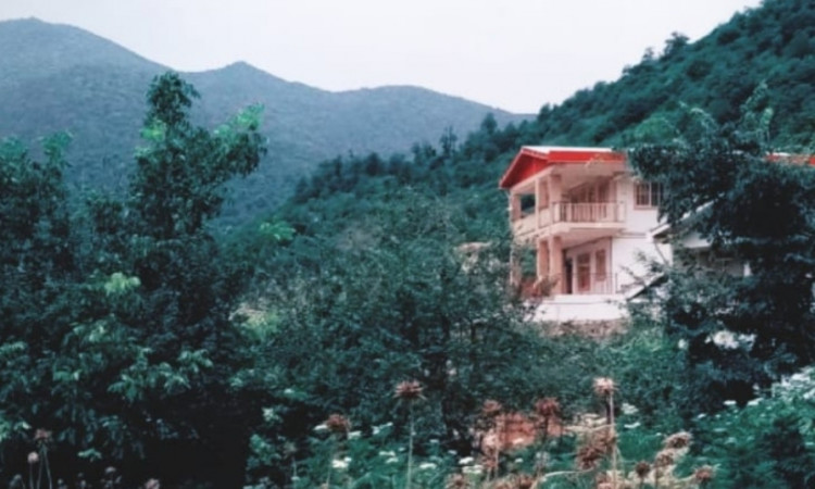 اجاره واحد ویلایی جنگلی کوهستانی