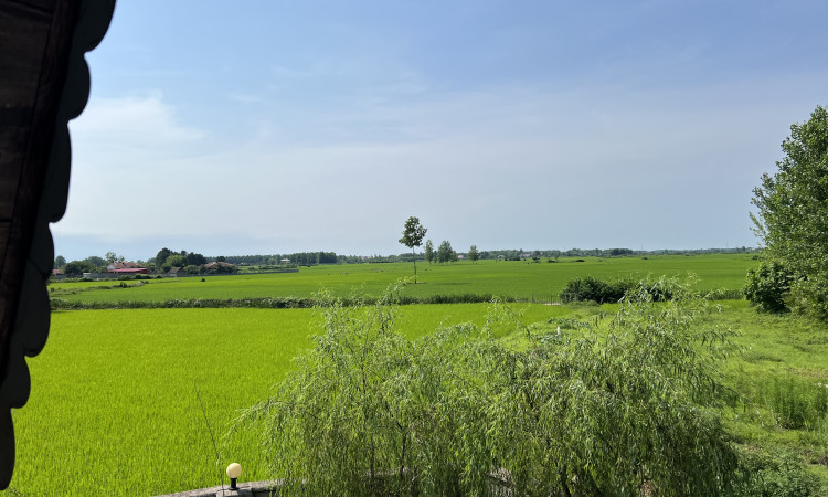 رزرو کلبه لیلکی دار
