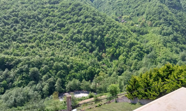 اجاره ویلا جنگلی باباخانی