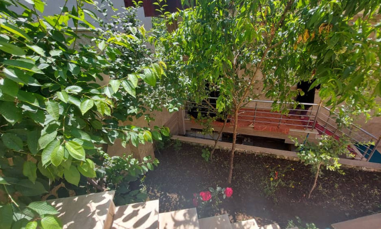 اجاره ویلا جنگلی باباخانی