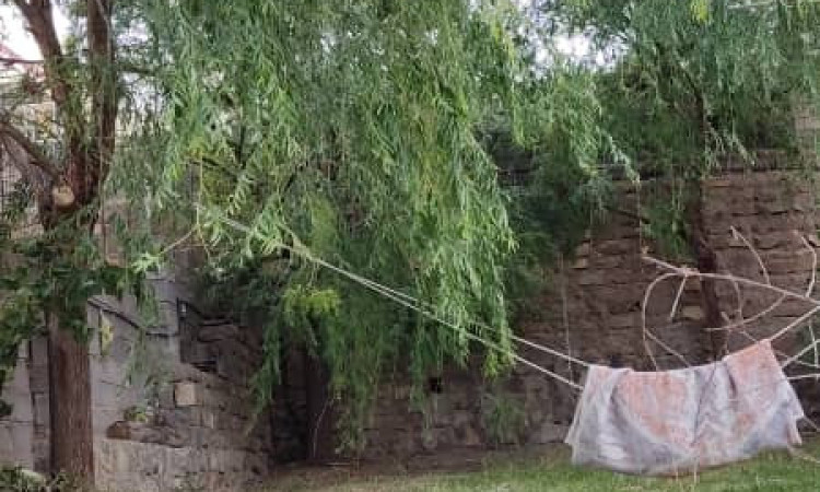 اجاره ویلای دو خوابه مقدادی