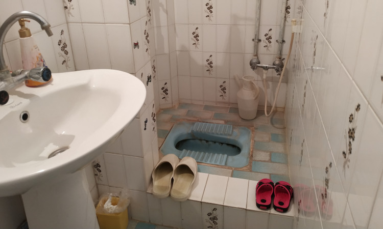 اجاره ویلا خانه سبز