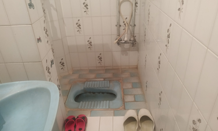 اجاره ویلا خانه سبز
