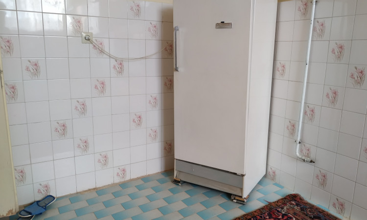 اجاره ویلا خانه سبز