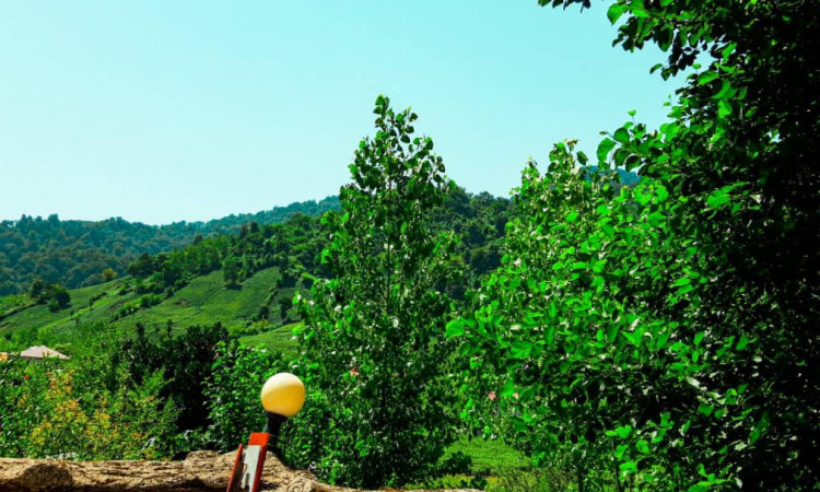 اجاره ویلا در روستای زیبای قلعه رودخان