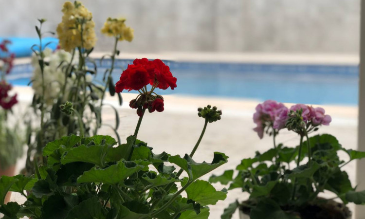 اجاره ویلا ساحلی دوبلکس سرخ رود
