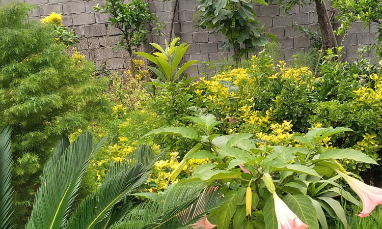 اجاره دوخواب شیک رامسر