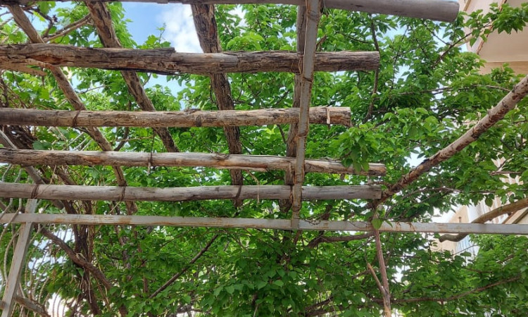 اجاره اقامتگاه دارا کوهستانی