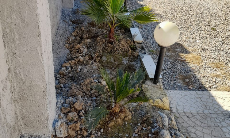 اجاره ویلای واحدیان