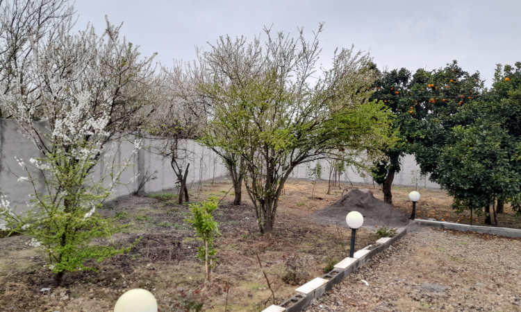 اجاره ویلای واحدیان
