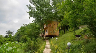 اجاره کلبه دوبلکس جنگلی رضا