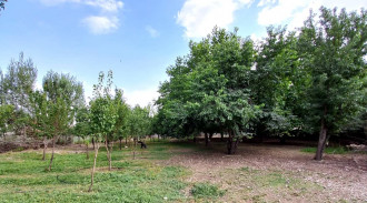 اجاره آپارتمان خوش بهار کوهرنگ