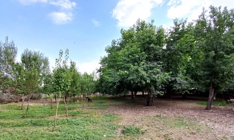 اجاره آپارتمان خوش بهار کوهرنگ