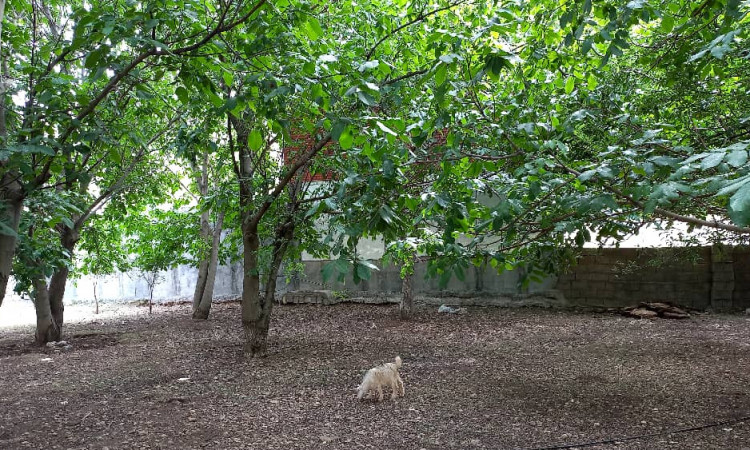اجاره آپارتمان خوش بهار کوهرنگ