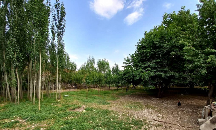 اجاره آپارتمان خوش بهار کوهرنگ