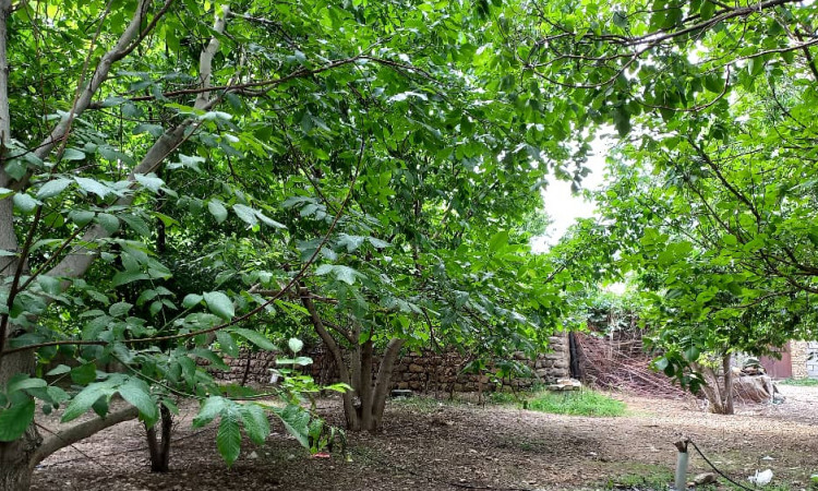 اجاره آپارتمان خوش بهار کوهرنگ