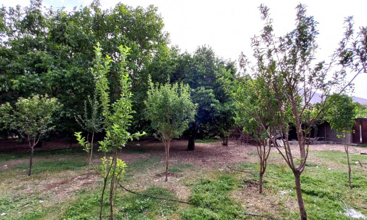 اجاره آپارتمان خوش بهار کوهرنگ