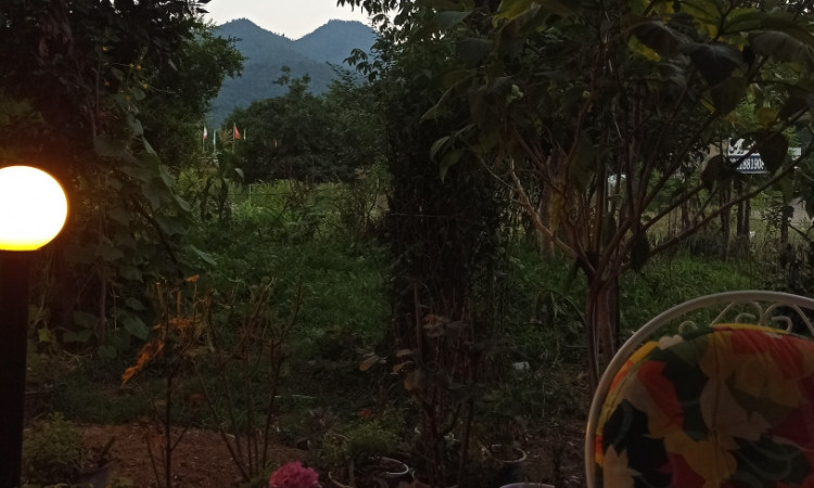 اجاره آپارتمان کوروش گوشه‌ایی از بهشت روستای لیپا