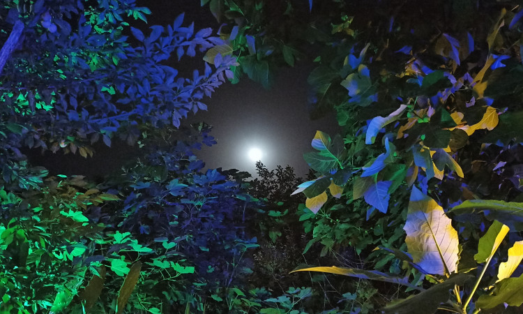 اجاره آپارتمان کوروش گوشه‌ایی از بهشت روستای لیپا