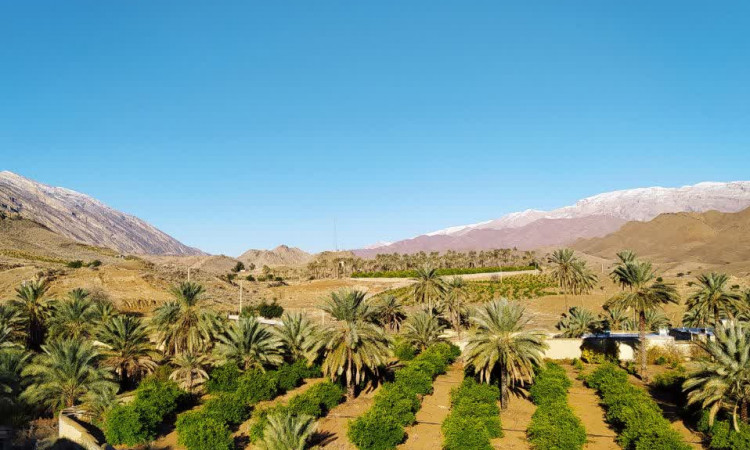 اقامتگاه بوم گردی باغ سلیمان 1 (4 نفره)