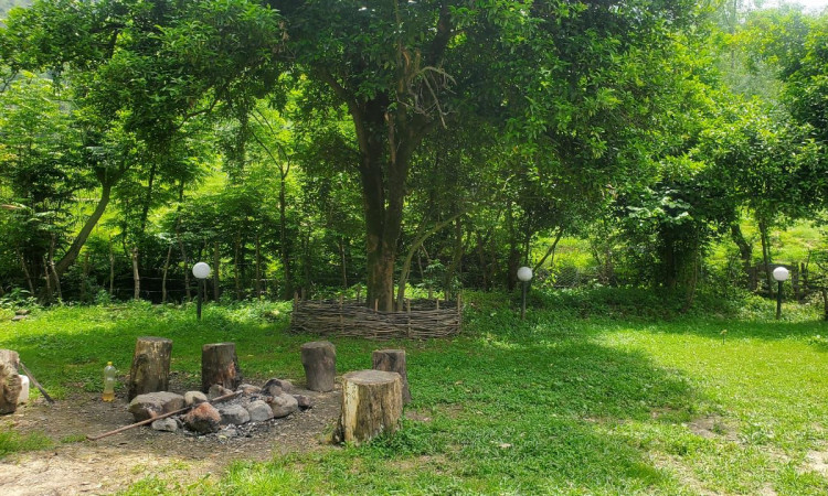 اجاره ویلای دربستی استخر آب گرم
