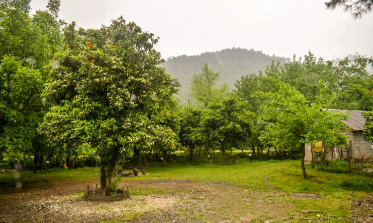 اجاره ویلای دربستی استخر آب گرم