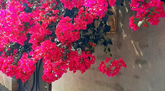 اجاره سوئیت ویلایی 20 متری فول امکانات