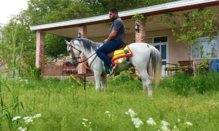 رزرو بوم گردی کورش(305)