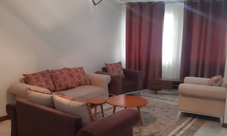 اجاره آپارتمان تک خواب در قلهک 1