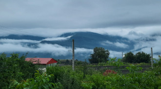 اجاره ویلاجنگلی آرام