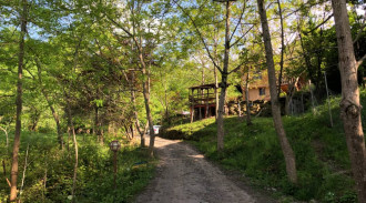 اجاره خونه باغ بِچا بِچا