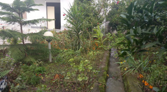 اجاره ویلا دربست باغی با ویوی کوه و جنگل